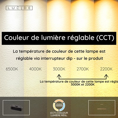 Lucide BANNISTER - Suspension - LED Dim. - CCT - 1x30W 2200K/3000K - Bois clair - Vibes